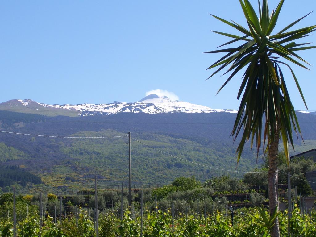 Etna Wine Azienda Agrituristica Passopisciaro Zewnętrze zdjęcie