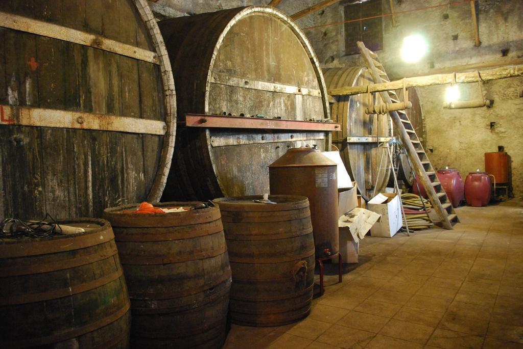Etna Wine Azienda Agrituristica Passopisciaro Zewnętrze zdjęcie